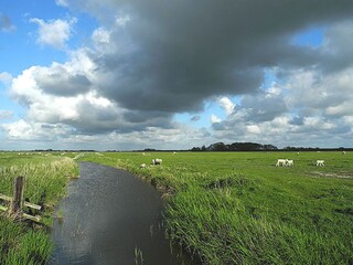 Marschlandschaft