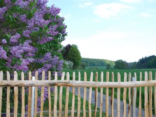 Holiday house Schöppenstedt Environment 13