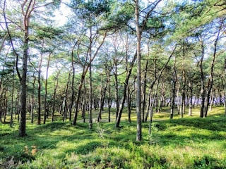 Holiday house Kopalino Environment 35