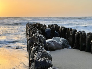 Appartamento per vacanze Westerland Ambiente 34