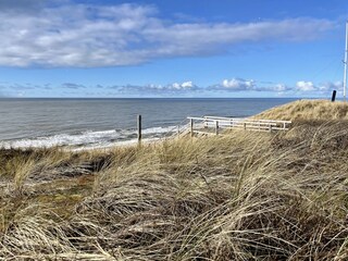 Appartement de vacances Westerland Environnement 36
