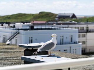 Appartamento per vacanze Westerland Caratteristiche 6