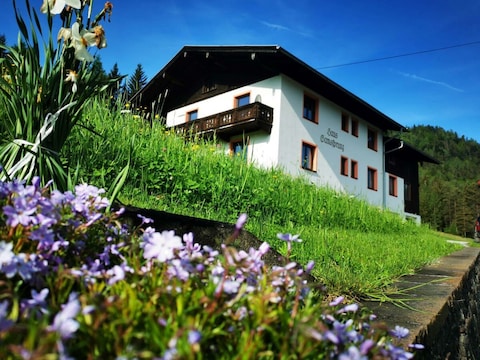 Apartment Haus Gamssprung