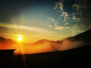 IMG_20210609_055832_edit_498247500596885