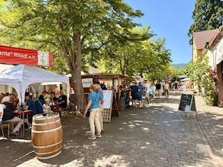 Südliche Weinstrasse