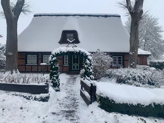 Holiday house Plön Outdoor Recording 11