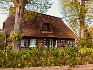 Holiday house Plön Outdoor Recording 1