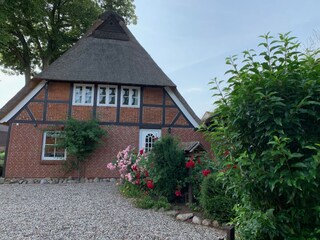 Parkplatz mit Eingang