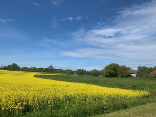 Holiday house Plön Environment 34