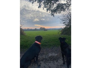 Holiday house Plön Environment 35