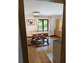 Küche Ferienhaus Riedberg Zillertal (3)