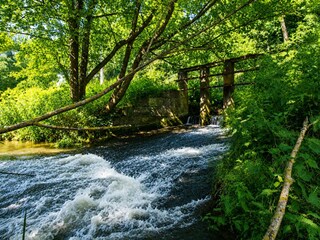 Maison de vacances Havelange Environnement 37
