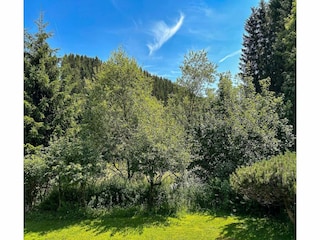Apartment Winterberg Outdoor Recording 7