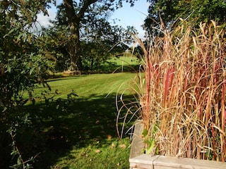 Ferienhaus Coevorden Umgebung 19