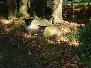 Ferienhaus Coevorden Umgebung 21