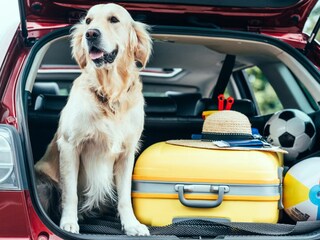 Ferienwohnung Rechlin Außenaufnahme 3