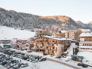 The house and its surroundings