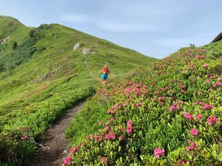 Galsterberg im Sommer