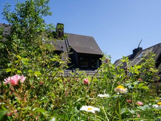 Vakantieappartement Tinnum Omgeving 21