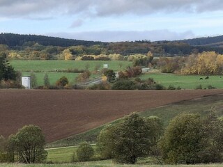 Blick vom Lieserpfad