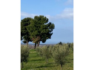 Casa de vacaciones Labinci Grabación al aire libre 19