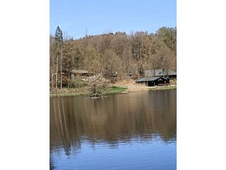 See in Shillingen