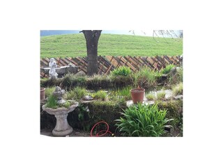 Garten 2017 April