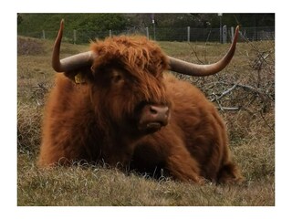 Casa vacanze Bergen (Holland) Ambiente 30