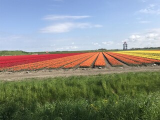 Vakantiehuisje Bergen (Holland) Omgeving 32