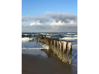 Casa vacanze Bergen (Holland) Ambiente 38