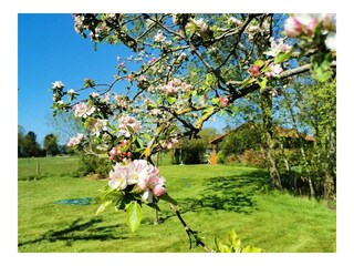 Casa vacanze Bergen (Holland) Registrazione all'aperto 6