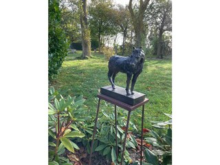 Casa vacanze Bergen (Holland) Registrazione all'aperto 8