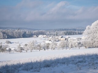 Am Limespfad-Winter in Hesselbach