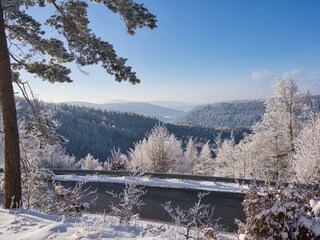 Am Limespfad-Hesselbach im Winter