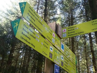 Nibelungenwald- Reichlich Wanderwege