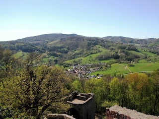 Ferienwohnung Schlierbachtal-Blick auf Schlierbach