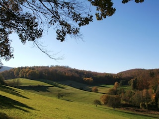 Ferienwohnung Schlierbachtal-Odenwaldlandschaft
