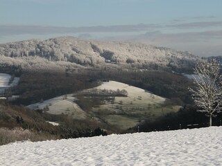 Ferienwohnung Schlierbachtal-Winterlandschaft
