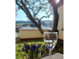 Gartenblick