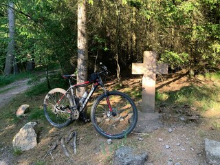 Zum Bienenstock- Mountainbikestrecken