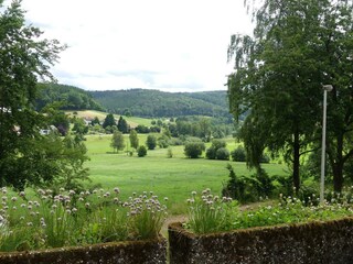 Im grünen Eck-Ausblick