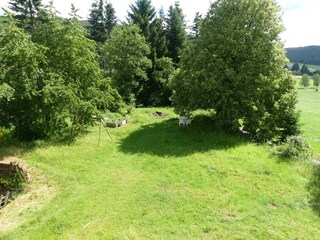 Im grünen Eck-Garten