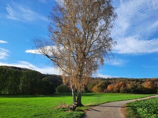 Odenwaldflair-Unweit der Unterkunft