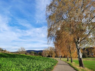 Odenwaldflair- Unweit der Unterkunft