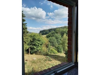 Spatzennest - Aussicht