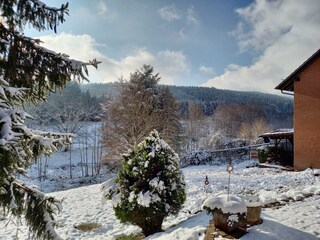 Garten im Winter