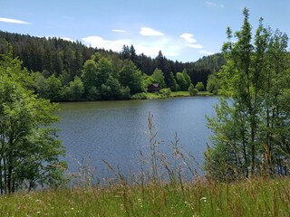 Nibelungenwald-Marbachstausee