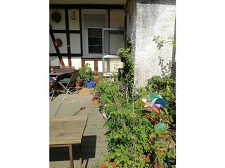 Burg Lindenfels-Eingang und Garten