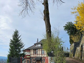 Villa Christina, Zufahrt zum Haus