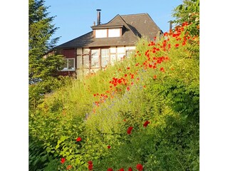 Villa Christina, Garten